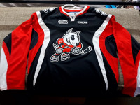 Niagara IceDogs, Toronto Maple Leafs and other Sports Jersey's