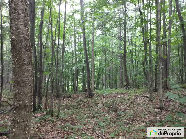 $145,000 - Price taxes not included - Wood Lot in St-Cuthbert in Land for Sale in Laval / North Shore - Image 6