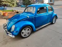 Incredible 57 Beetle out of long term ownership!