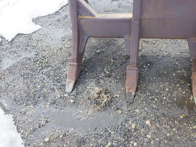 Brush Rake D6 D7 Adjustable in Other in Edmonton - Image 3