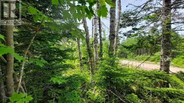 Lot 22 Kopylov Lane Kempt Road, Nova Scotia62863753884290121