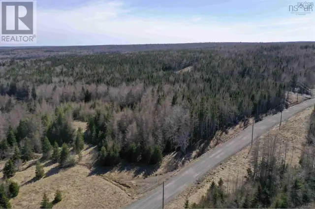 Lot 16 - Lower River Road Grantville, Nova Scotia in Land for Sale in Cape Breton - Image 6