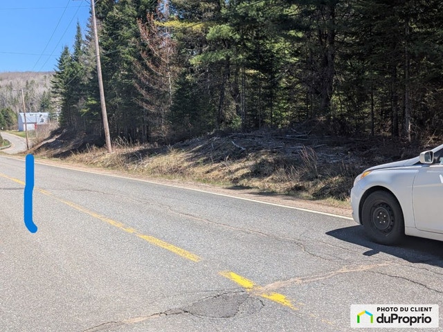 $100,000 - Wood Lot for sale in St-Alexis-Des-Monts — photo 2