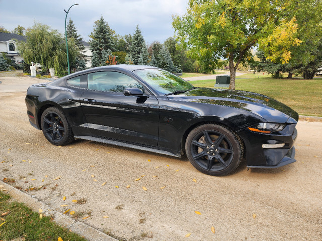 2019 Ford Mustang GT 5.0L V8 6 SPD Manual, Black Rims in Cars & Trucks in Winnipeg - Image 4