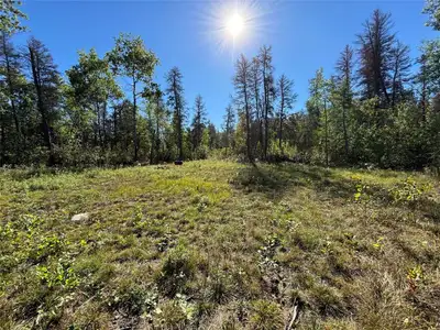 R27//Belair/Cleared lot with approach on .84 acres in Beautiful Belair!! Ready to build your future...