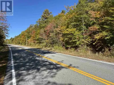 This nicely treed building lot is located directly on Highway 325 in West Clifford. This lot offers...