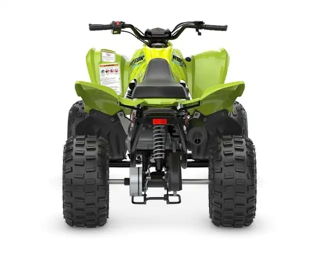 2026 Yamaha Raptor 110 in ATVs in Ottawa - Image 8