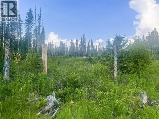 5900 BOWRON LAKE ROAD Wells, British Columbia in Houses for Sale in Quesnel - Image 19