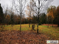 195 000$ - Terre à bois à vendre à Mont-St-Michel