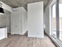 Studio 2.5 2 1/2 Condo appartement à louer-logement locatif-apartment rental for rent Plateau-Mont-R... (image 6)