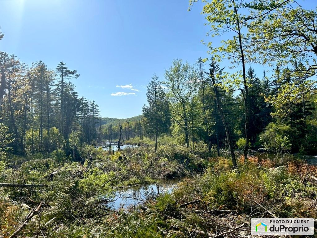 $100,000 - Residential Lot for sale in Lac-Aux-Sables — photo 2