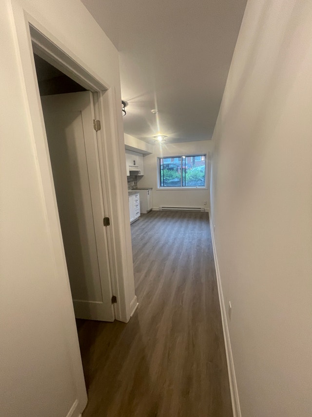 1070 rue Mistral — photo 3