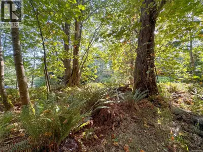 Pristine 2.51-Acre Lot Near Sandwell Beach on Gabriola Island. Embrace island living on this pristin...