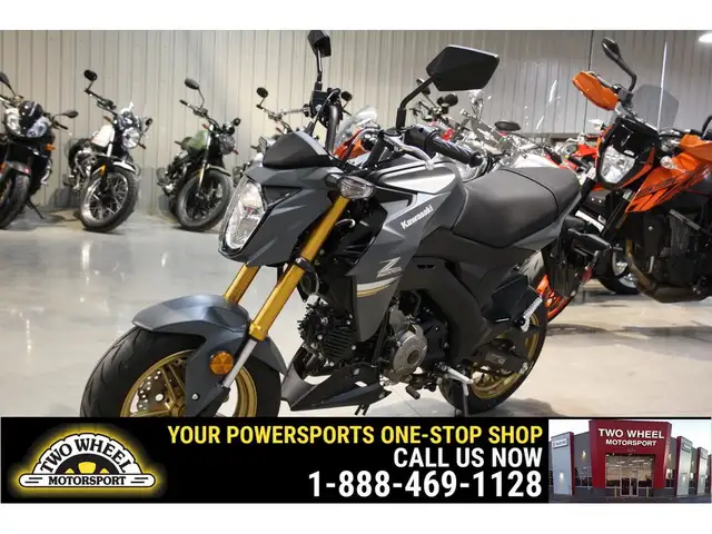 2024 Kawasaki Z125 PRO 125CC STREET LEGAL & EASY TO RIDE! in Street, Cruisers & Choppers in Guelph - Image 2