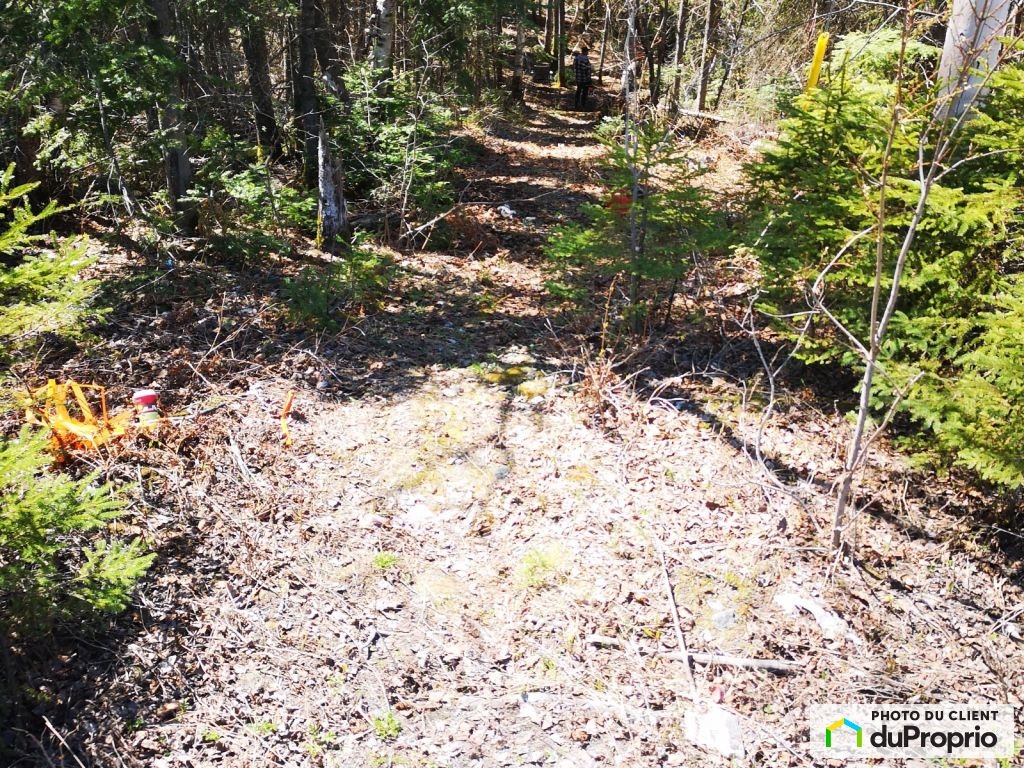 $75,000 - Residential Lot for sale in Alma — photo 2