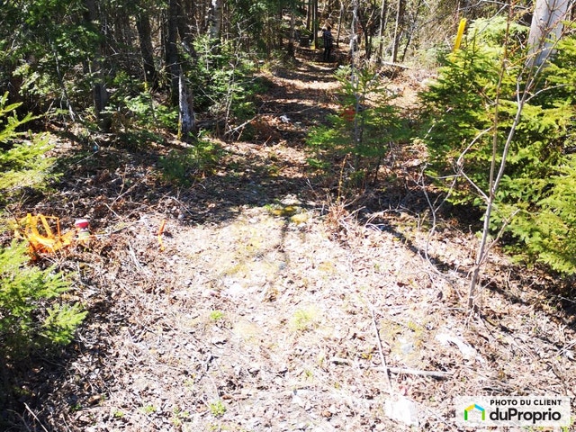 $75,000 - Residential Lot for sale in Alma — photo 2