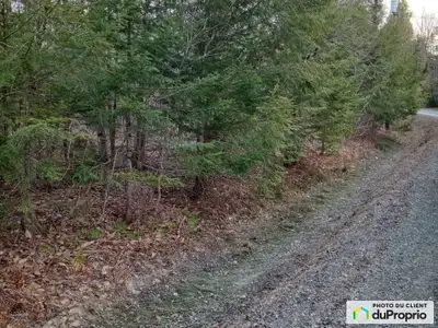 Terrain à vendre, rue Harfang (secteur Lac Lovering), 1291,3 m carré (près de 14,000 pied carré), vi...