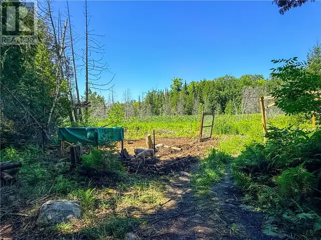 514C East Road Mindemoya, Manitoulin Island, Ontario in Land for Sale in Sudbury - Image 15