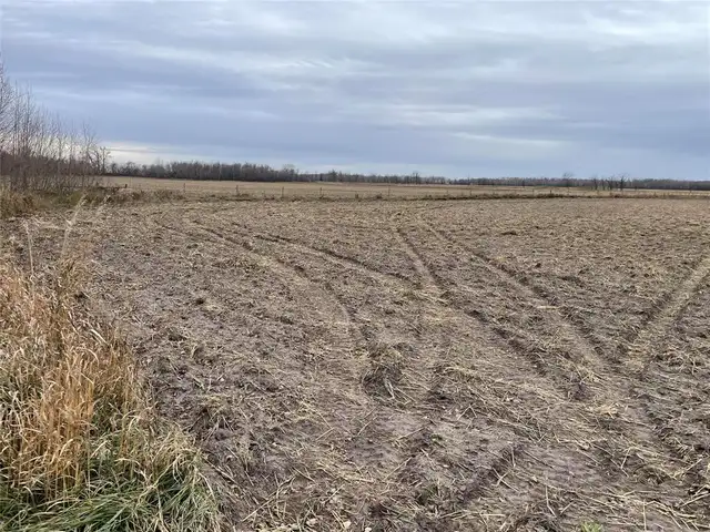0 40W/47N Road St Claude, Manitoba in Land for Sale in Portage la Prairie - Image 2