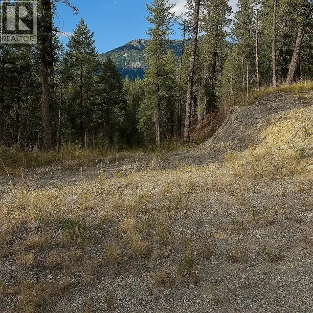 2400 KOOTENAY RD NO 3 Road Lot# 2 Windermere, British Columbia in Land for Sale in Cranbrook - Image 24