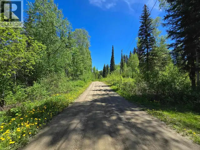 4209 ANTOINE LAKE ROAD Horsefly, British Columbia in Houses for Sale in Williams Lake - Image 37