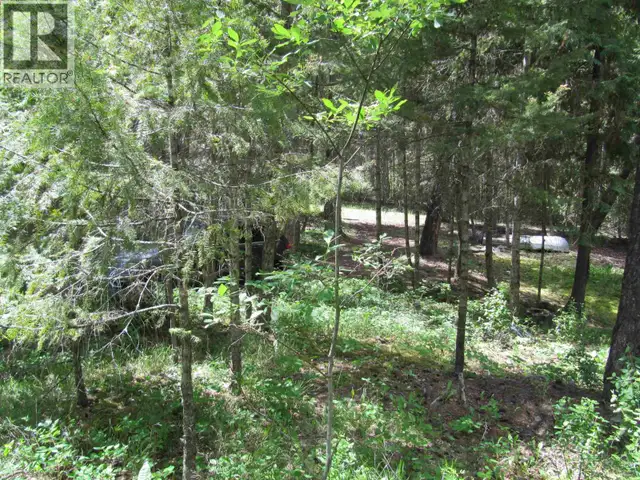3817 CANIM-HENDRIX LAKE ROAD Canim Lake, British Columbia in Houses for Sale in 100 Mile House - Image 7