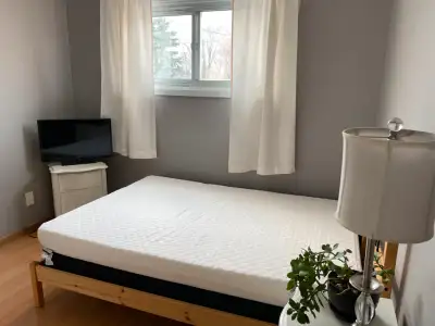 Bright room in Orillia for June 1!