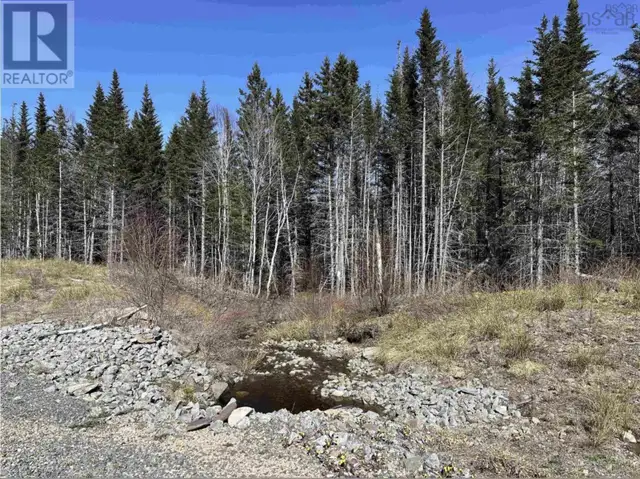 Lot 16 - Lower River Road Grantville, Nova Scotia in Land for Sale in Cape Breton - Image 16