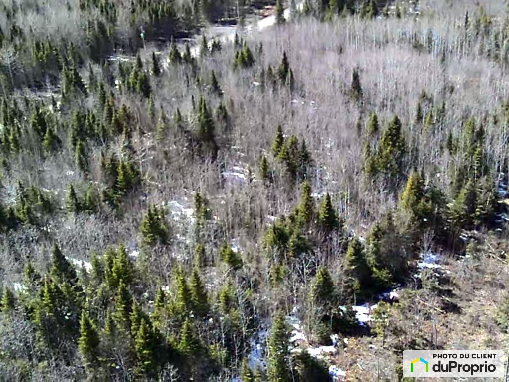 $55,900 - Residential Lot for sale in St-Bruno-De-Kamouraska — photo 2