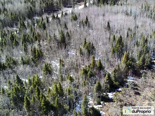 $55,900 - Residential Lot for sale in St-Bruno-De-Kamouraska — photo 2