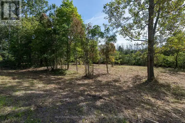 00 PALACE ROAD Greater Napanee (Greater Napanee), Ontario in Land for Sale in Napanee - Image 7