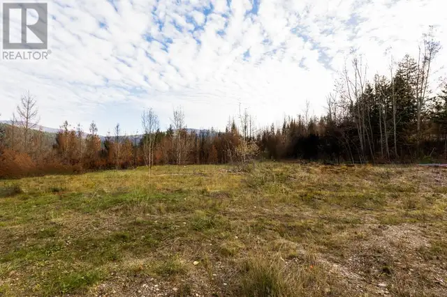 8767 Holding Road Chase, British Columbia in Land for Sale in Kamloops - Image 11