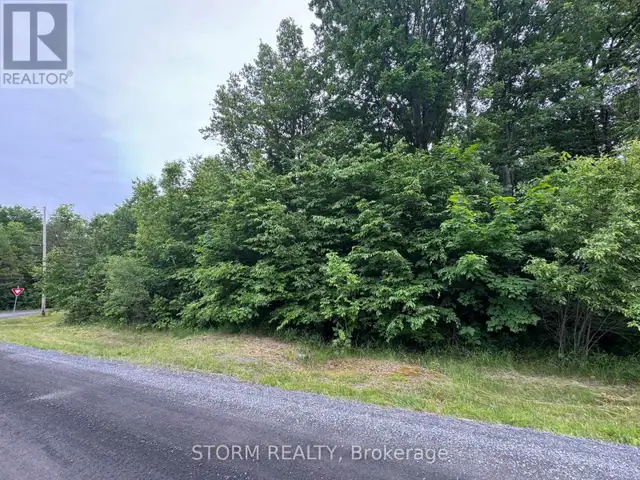 CON 8 BINGLEY ROAD South Stormont, Ontario in Land for Sale in Cornwall - Image 4