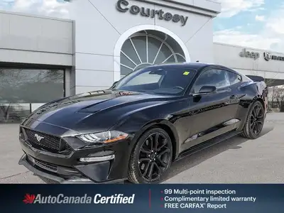Feel the undeniable thrill of pure American muscle with this stunning 2022 Ford Mustang GT Premium!...