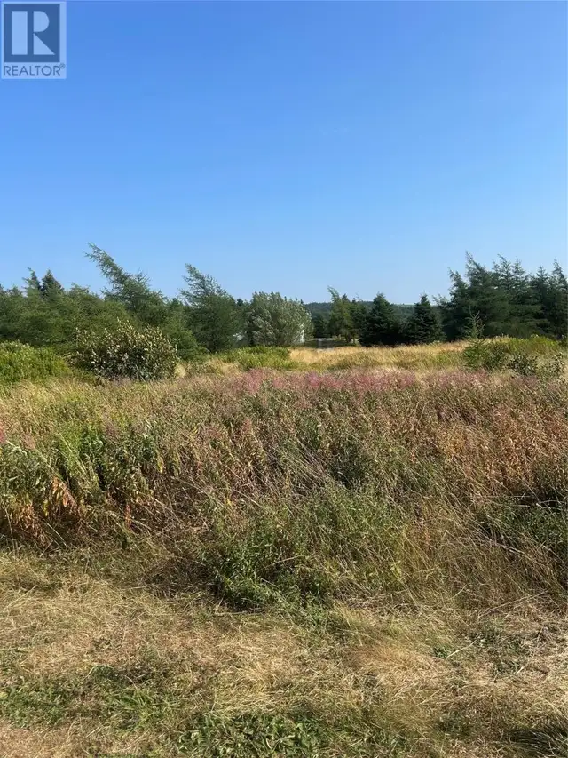 0 Beaver pond Road Road Roaches Line, Newfoundland & Labrador in Land for Sale in St. John's - Image 10