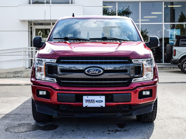 2020 Ford F-150 XLT 4WD Crew 302A Sport Local Trade in Cars & Trucks in Winnipeg - Image 3