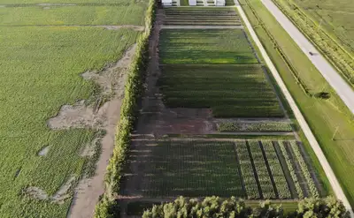R39//Dufferin/Incredible Opportunity to Build on this Acreage less than 2 Miles South of Carman! 2.0...