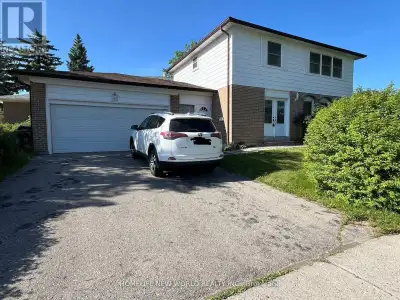 Conveniently located at Kennedy/Finch Road. A very quiet house neighborhood. Basement room for rent...