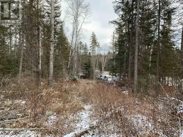 PCL8547 HWY 101 HIGHWAY W Timmins (TCTDAR Outside), Ontario in Land for Sale in Timmins - Image 8