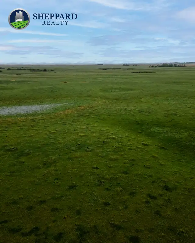 638.18 Acres | RM of Grayson # 184 | Near Waldron, SK in Land for Sale in Regina - Image 4
