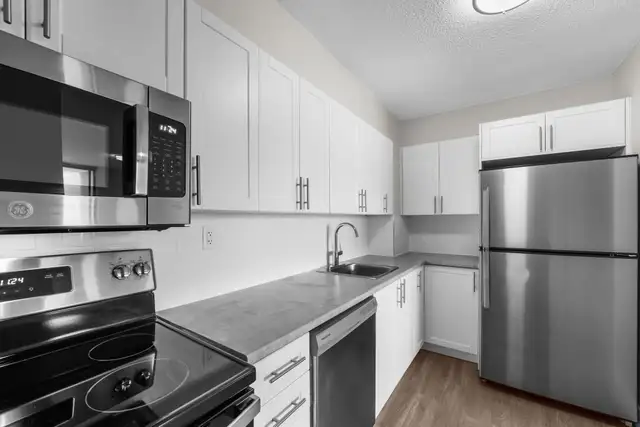 Delta Apartments - 1 Bedroom Apartment for Rent - Peterborough in Long Term Rentals in Peterborough - Image 16