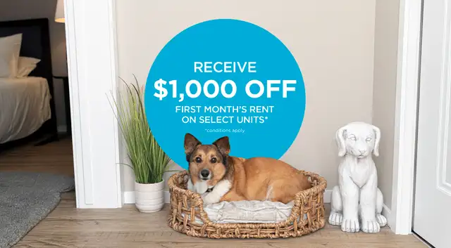 Pet-Friendly One Bedroom One Bath with In-suite Laundry for Rent63235874995201121