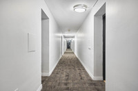 1, 2, and 3 bedrooms newly renovated units at 24 Ida Street in St Catharines. Beautiful kitchens wit... (image 2)