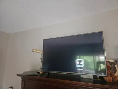 42 inch tv in great condition, no pixel issues...fully functional with hdmi ports. Remote included.
