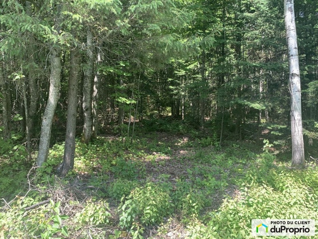 $39,999 - Residential Lot for sale in St-Alexandre-De-Kamouraska — photo 1