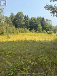 3995 BOULTER ROAD Hastings Highlands (Wicklow Ward), Ontario Trenton Belleville Area Preview
