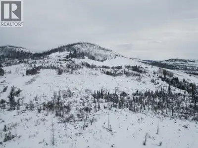 Discover 85 acres of vacant land in a rural setting near Ootsa Lake-an exceptional opportunity to cr...