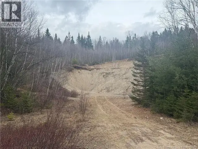 Vacant Land Route 785 Mcdougall Lake, New Brunswick in Land for Sale in Fredericton - Image 4