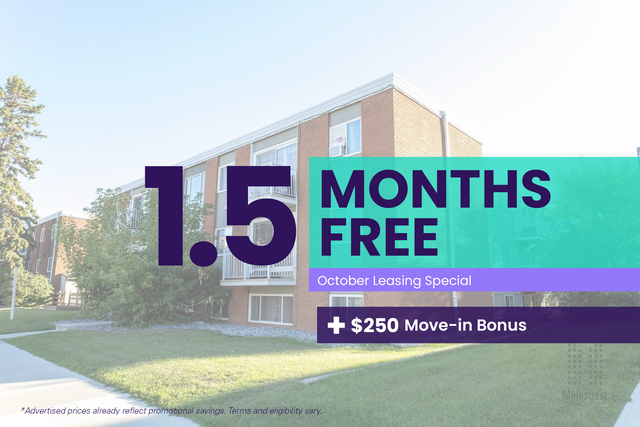 124th Street Apartment For Rent | Mainstreet on 124th Apartments in Long Term Rentals in Edmonton - Image 2
