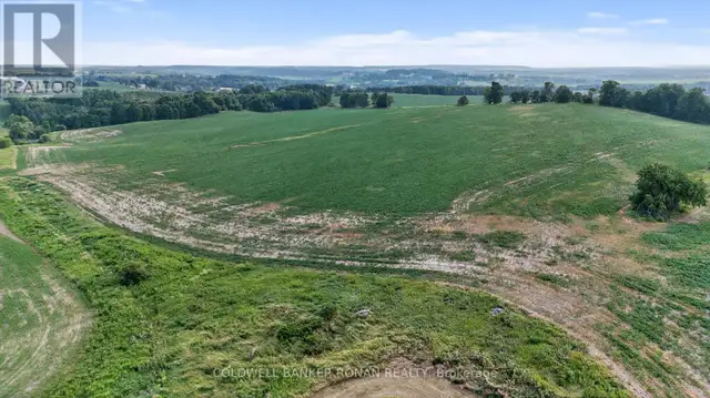 4495 LINE 11 Bradford West Gwillimbury, Ontario in Land for Sale in Barrie - Image 17